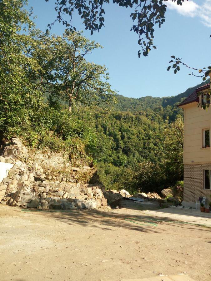 Guesthouse In Makhuntseti K'eda Zewnętrze zdjęcie