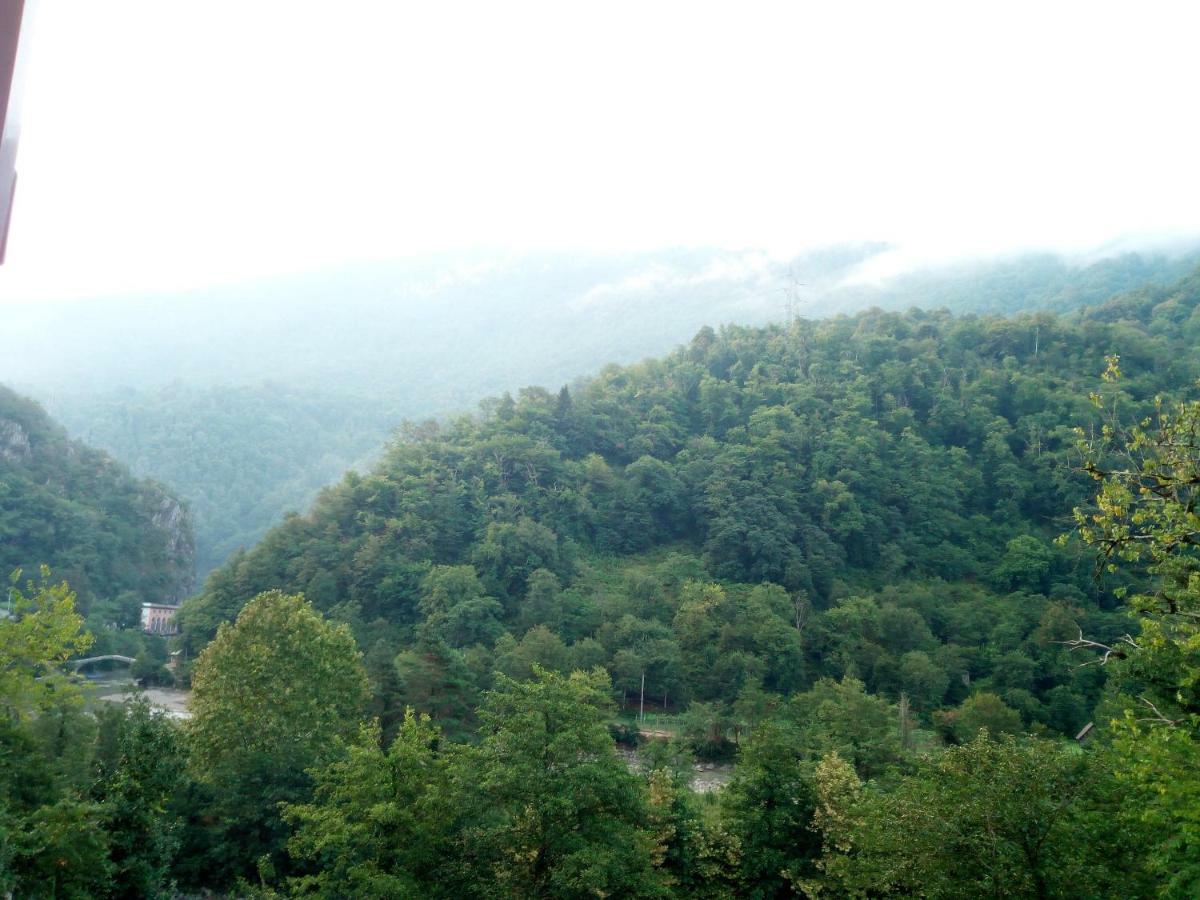 Guesthouse In Makhuntseti K'eda Zewnętrze zdjęcie